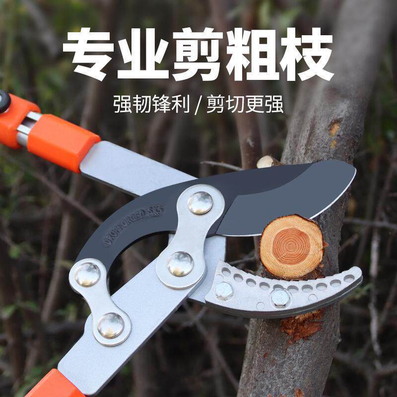 园林剪树枝修剪刀剪树枝修剪专用果树修枝伸缩粗枝剪强力大剪子刀