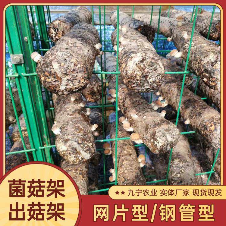 种植平菇出菇网格架绿色铁丝养殖网架养菌出菇网片香菇棒养菌架子