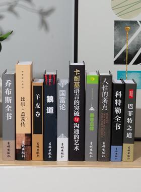假装饰书彷书摆件轻奢书架样书板书柜房装书饰品真新中ZW002式道