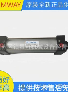 TEAMWAY气压缸TA32N125-A-S DNB50M55-CG-LN02A-2 DNB40M680SH