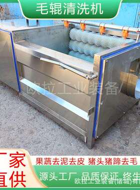 芥菜毛辊去泥清毛清洗设备大量高速花生洗机产刷地瓜去AXM皮清洗