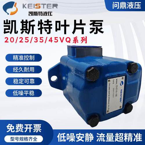 凯斯特25V/20V/35V/45V液压叶片泵2520V4535V注塑机打包机油泵