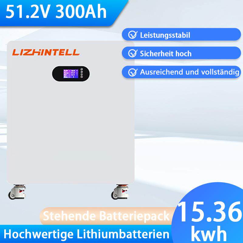 LiFePO4-Stehbatterie 51,2V 300Ah 200Ah 100Ah 15,36kWh 48V