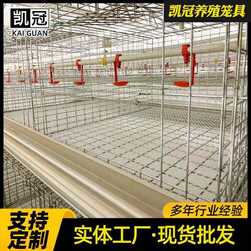 框架肉鸡笼镀锌雏肉鸡两用三层鸡笼肉鸡笼肉鸡自动化养殖设备厂家