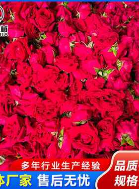 沙棘528真空冷冻燥机刺梨粉干冻干备 全自设动枸杞 原浆冻干机