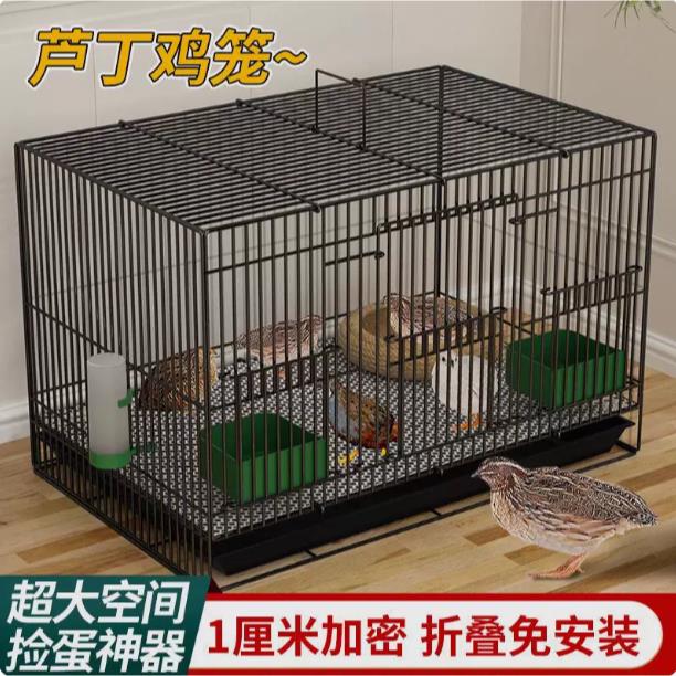 芦丁鸡专用养殖笼子家用加密大号芦丁鸡铁丝笼小鸡小鸭子鹌鹑鸟笼