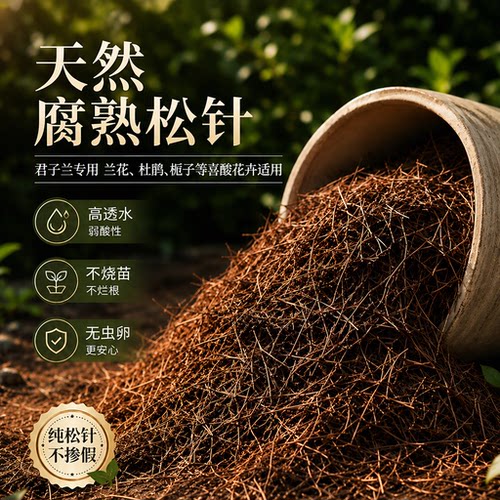 纯干发酵腐熟松针腐殖土天然腐叶