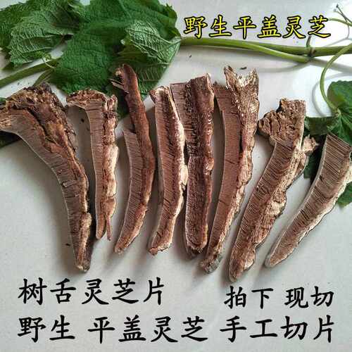 东北野生树舌灵芝片 平盖灵芝片 野生平盖灵芝 灵芝片 树舌灵芝