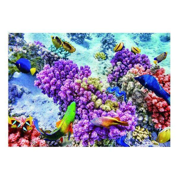Adhesive Background Fish Image 3D Fish Definition for - 实物图