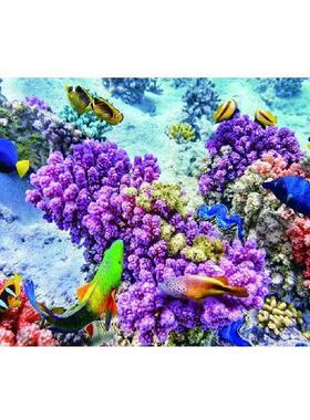 Adhesive Background Fish Image 3D Fish Definition for