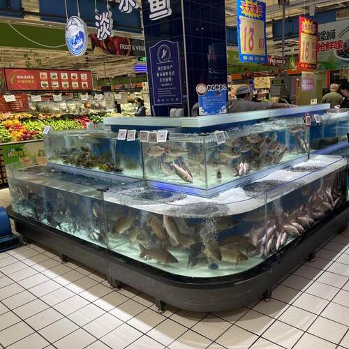 海鲜鱼缸带制冷双温控超市海鲜暂养池海鲜池商用多组合海水培殖缸