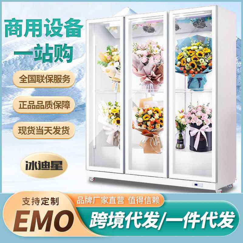 冷藏展示柜冰柜保鲜饮料啤酒单双