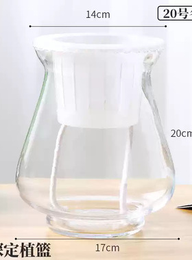 简约培植玻璃玻璃花瓶圆球花瓶