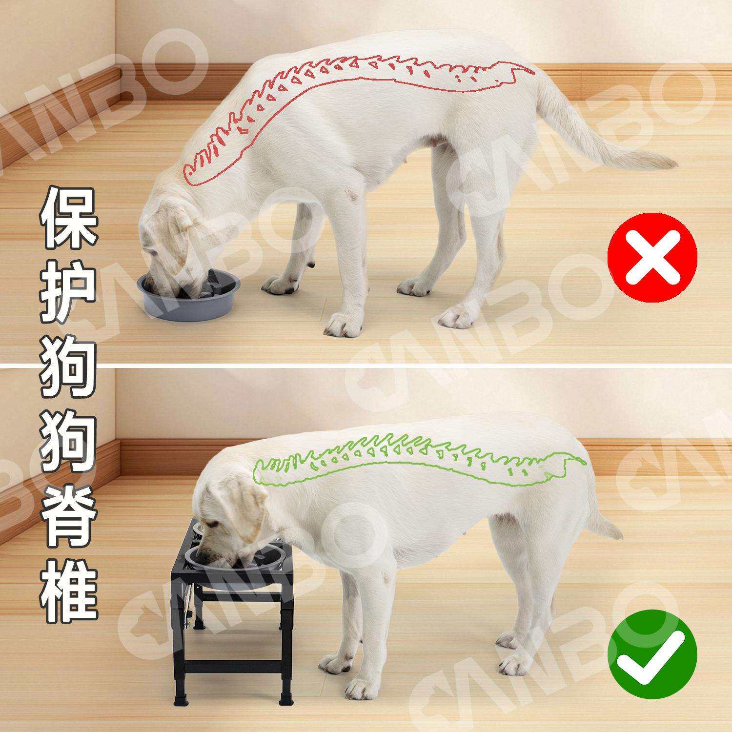 现货铁艺宠物不锈钢狗碗宠物狗食盆保护颈椎狗狗食具防打翻固定架