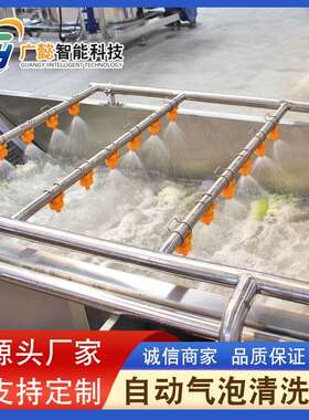 金针菇小番茄清洗机设备全自动果蔬气泡清洗机胡萝卜清洗线设备
