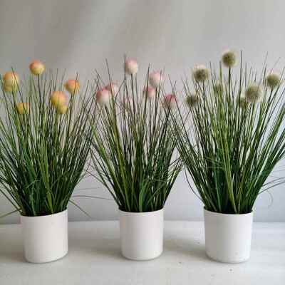 仿FLY真芦苇蒲棒水草绿植把束公英香蒲棒水蜡烛狗尾草圆球柄蒲草