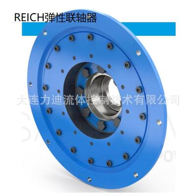 德国REICH橡胶体万向轴的多种结构型式ACVSK50AVNN