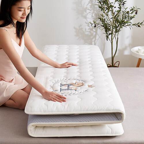 大豆床垫防滑垫背褥子家用四季款夏季铺底150x200双人垫褥抑菌180