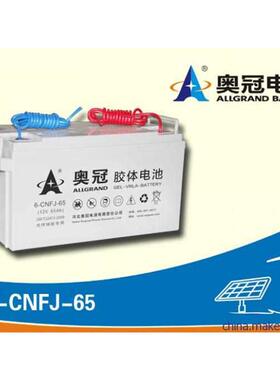 奥冠蓄电池6-CNFJ-65 12V65AH电动汽车太阳能发电专用胶体蓄电池