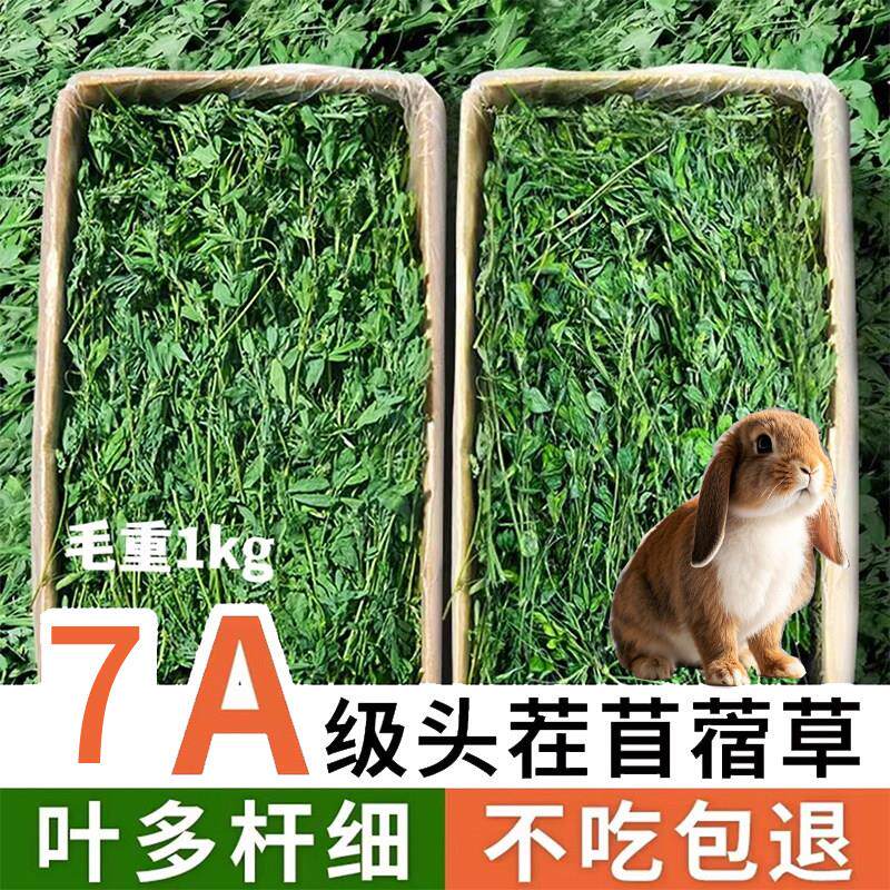 25年兔草烘干苜蓿草兔子草料龙猫牧草兔粮豚鼠饲料干草毛重1000克