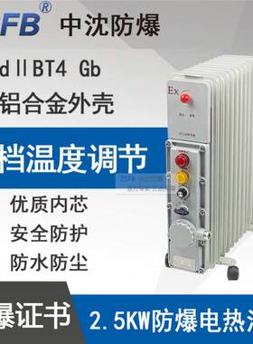BDN58-2500W13片电压220V防爆电热油汀功率2KW防爆电暖气带证书