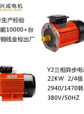 厂家供应Y2-180大功率2940转1470转22W铜线B3三相异步电动机
