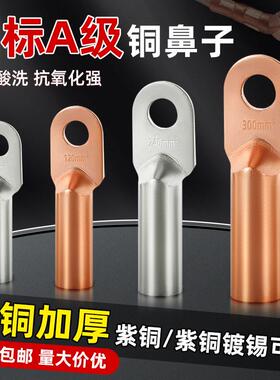 DT铜鼻子紫铜接线端子线耳镀锡堵油铜接头10/16/25/300平方铜线耳