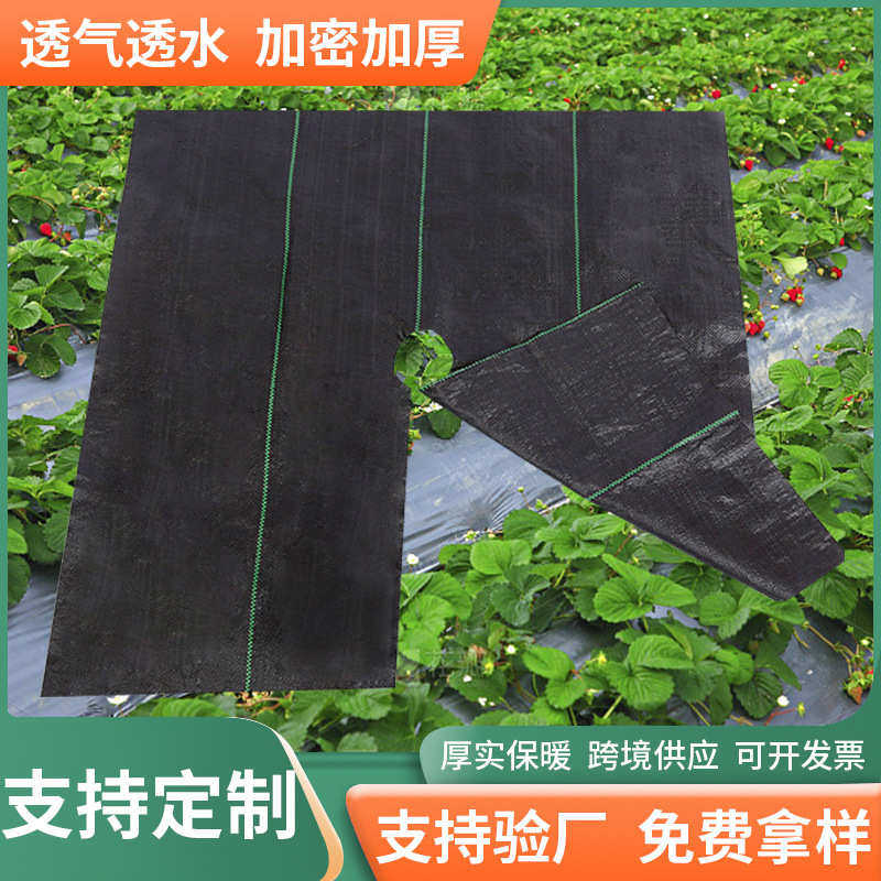 果园大棚防草布遮草布 渗水绿色园艺抗老化 防草布加厚抗晒除草布,农机/农具/农膜,农用防草地布/除草布,淘宝优惠券,粉丝福利购,淘宝优惠卷