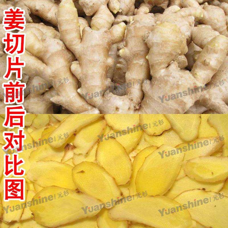 食品厂果蔬切片机大产量白萝卜切丝切片机不锈钢生姜切片机