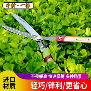中村一郎篱笆剪伸缩大力剪绿篱剪绿化草坪剪冬青修枝剪园艺整枝剪