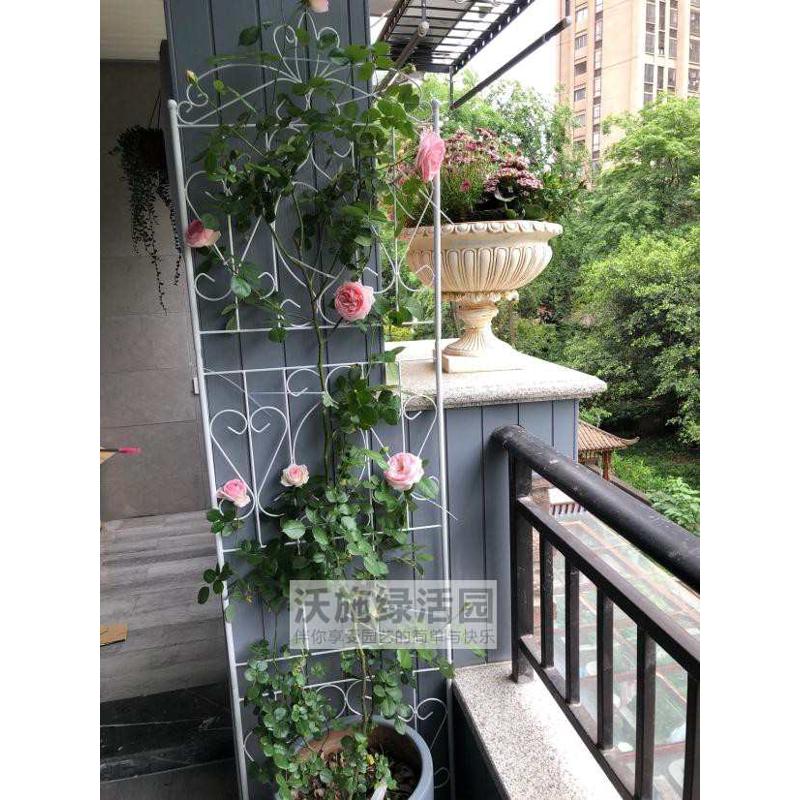 底座欧式艺室内带攀爬支撑藤架屏风月季阳台支架爬网格铁花盆架子