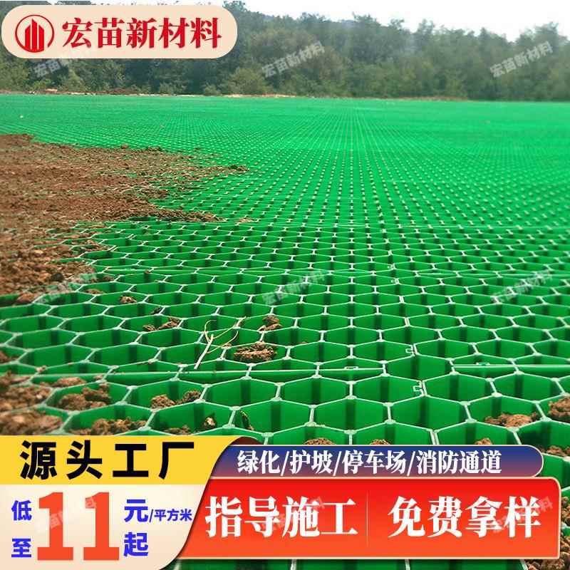 厂家塑料植草格停车场园林绿化河道护坡草坪格消防车道植草格栅