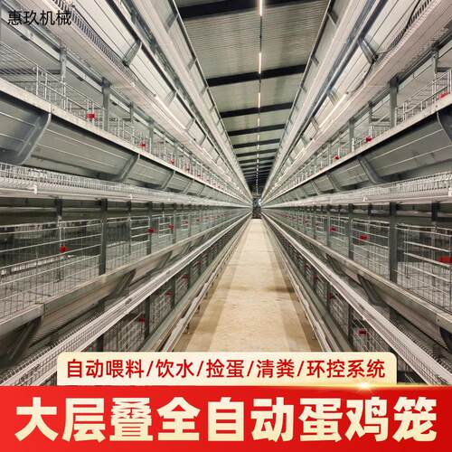 大层叠式蛋鸡笼全自动化厂家立式大层叠3层4层热镀锌蛋鸡笼定制