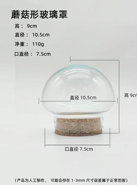 diy玻璃罩软木塞纪念品装饰摆件