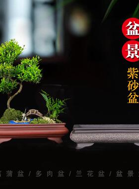 宜兴紫砂花盆仿古长方形盆景盆创意陶瓷园艺多肉假山树桩造景