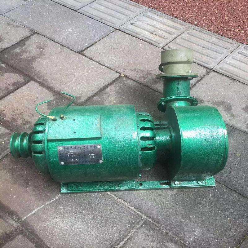 厂家直销5kwZMX卧式两用水力发电5水000斜w水发轮电机两用击式发