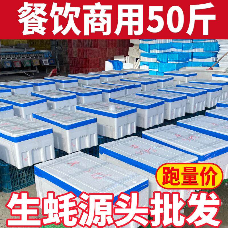 鲜活山东生蚝100/50斤海蛎子牡蛎餐饮烧烤摆摊高压锅生蚝