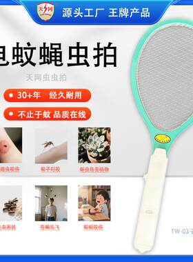 天王干电池型电动苍蝇拍杀蝇器2 -03安全洁净宝宝家居礼品