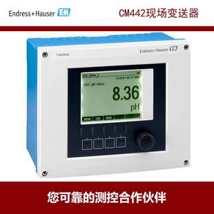 双通道变送器 单通道 H恩德斯豪斯 220V 数字式 通用型 CM442