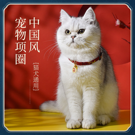 猫咪项圈猫铃铛新年围脖，狗狗脖圈脖子，饰品猫牌防走丢宠物装饰项链