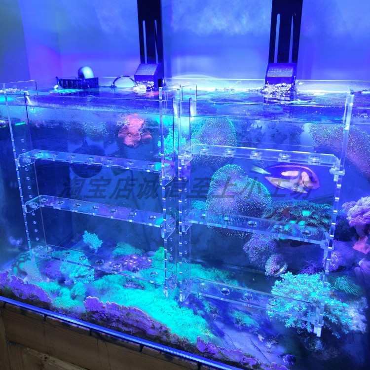 珊瑚断支架繁殖挂钩海缸硬骨软体挂缸壁亚克力繁殖断枝架珊瑚平台