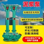 立式 泥浆泵化粪池抽粪泵池塘清淤泥浆泵长杆泵养殖长抽粪