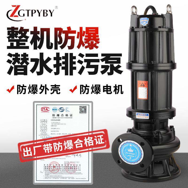 WQB防爆BT4CT4潜水排污泵矿用隔爆大流量潜污泵煤矿无堵塞污水泵