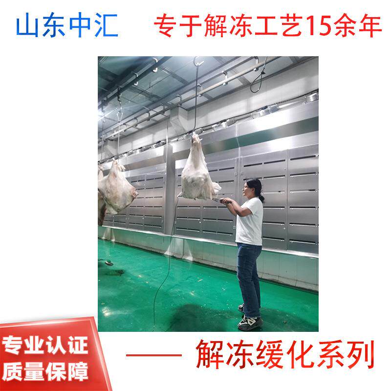 冷冻食品加工设备低温高湿解冻冰淇淋机冻虾冻鱼缓化库冻柜