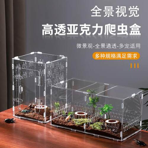 透明亚克力爬虫饲养箱蜗牛小型昆虫独角仙幼虫套装盒子跳蛛饲养盒