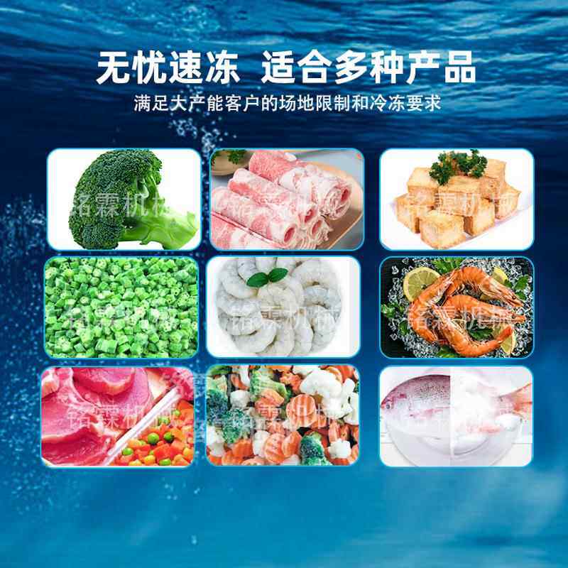 商用大牛型127海蛙保鲜速冷设备全自动大闸蟹鲜水速产单螺旋冻机