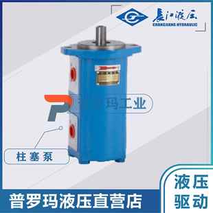 B2FR双联泵CBK1016 四川齿轮泵CBK1020