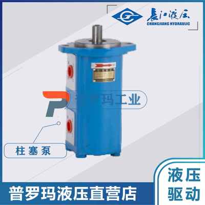 长江齿轮泵CMK1004/1006/1008/1010/1012/1016/1020/25-B4D-439LR