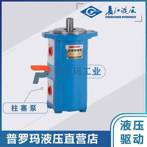 长江齿轮泵CMK1004/1006/1008/1010/1012/1016/1020/25-B4D-439LR