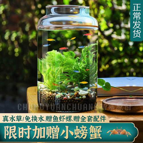 生态瓶水草小鱼缸玻璃办公桌面微景观生日情侣礼物DIY作业免换水